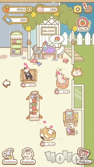 猫咪Spa