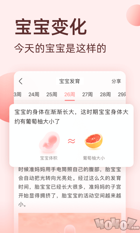 柚宝宝孕育
