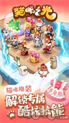猫咪之光