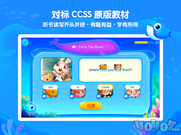 鲸鱼学堂