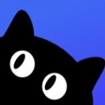 新媒猫