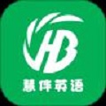 慧伴英语