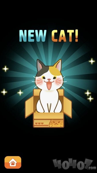 猫尾巴的故事