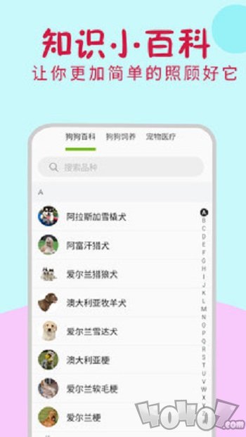 小狗翻译器