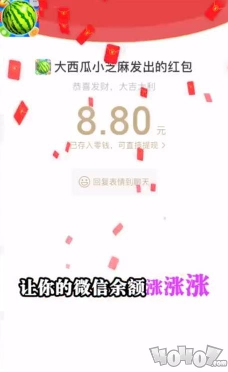 大西瓜小芝麻