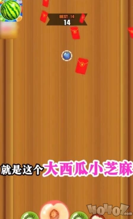 大西瓜小芝麻