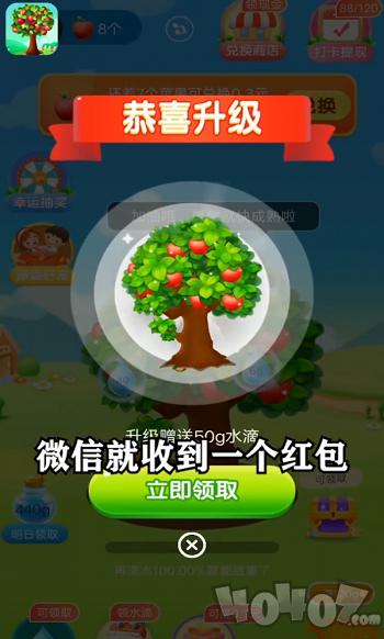 未来果园