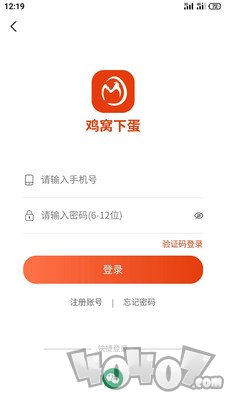 鸡窝下蛋