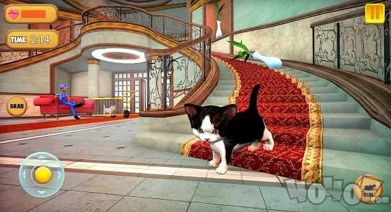 小猫玩耍模拟器