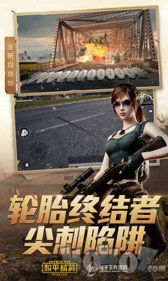 和平精英鸡仔辅助