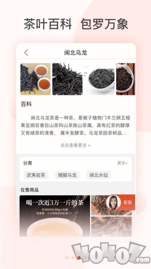茶吉送