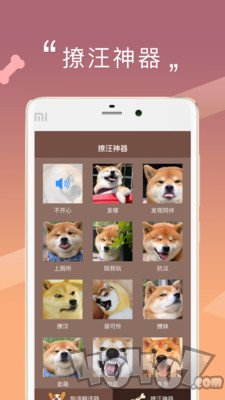 米族人狗交流器