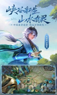 王者共享皮肤