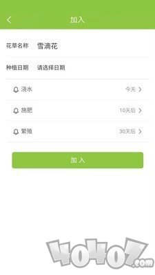 东篱花草