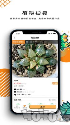 一植拍