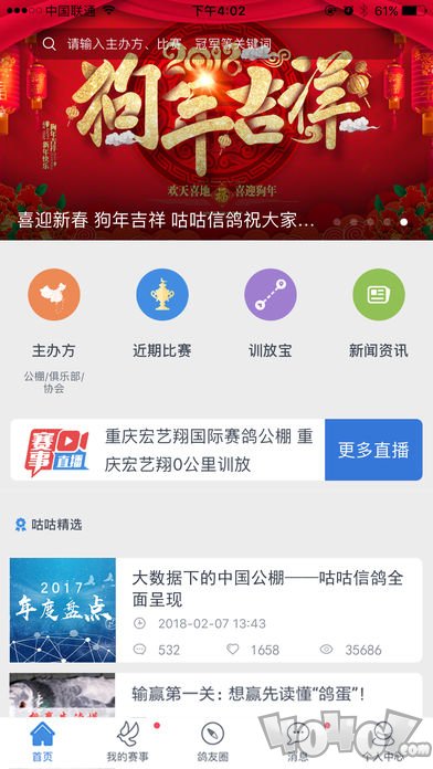 咕咕信鸽