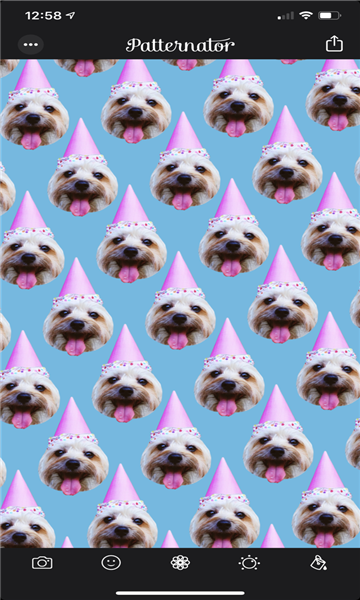 Patternator截图