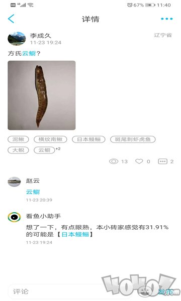 看鱼