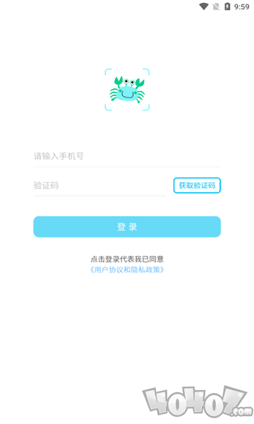 看鱼