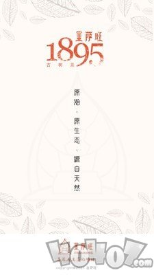 金萨旺