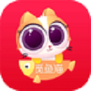 觅鱼猫