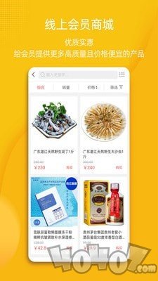 闪电鸟
