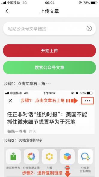 红掌网