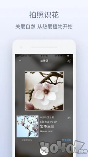 植物伴侣