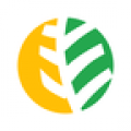 大丰车货主
