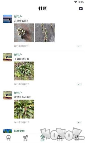 植物科普百科