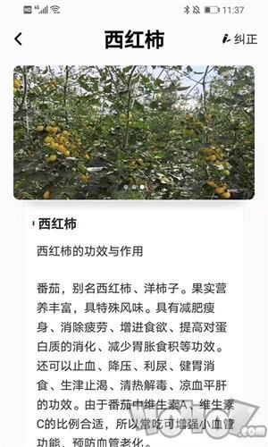 植物科普百科