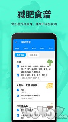 运动减肥速成