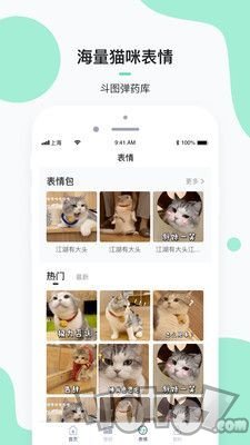 每日一猫