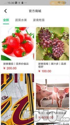 后院农场