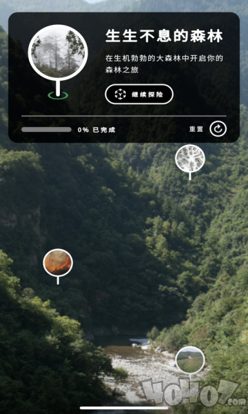 wwf森林