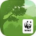 wwf森林