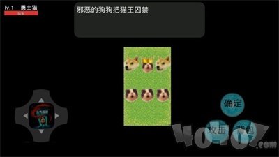 元气猫猫