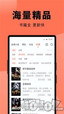 二丫小说网
