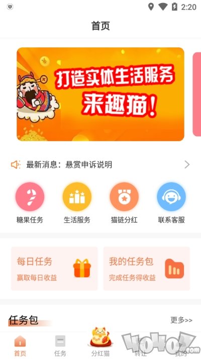 趣猫