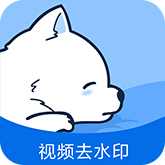 视频去水印专家