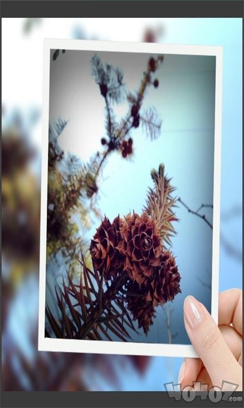 趣拍玩图照相机
