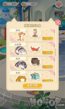 猫宅日记