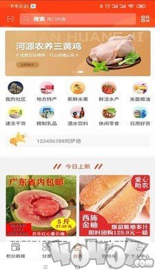 双丰