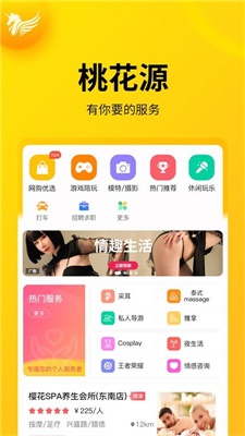 桃花源截图