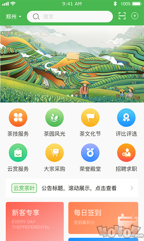 云赏茶叶