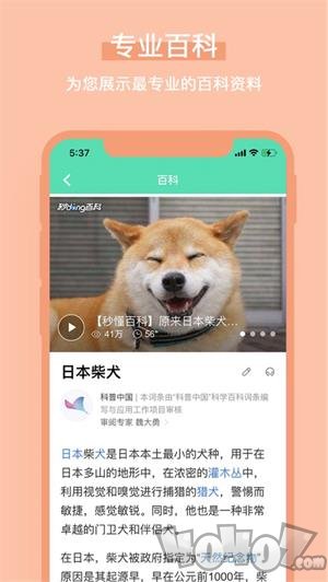 识图百科