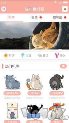 猫叫模拟器
