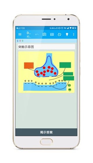 Anki涂鸦制卡截图
