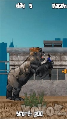 金刚大战
