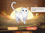 忘川风华录怎么获得猫 忘川风华录猫灵获取攻略